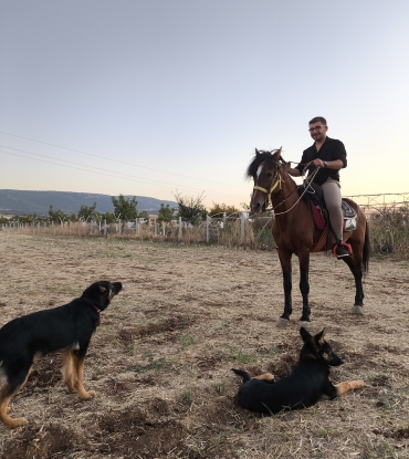 At Çiftliği