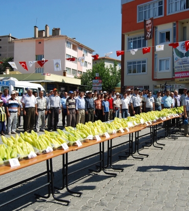 Kale Biberi