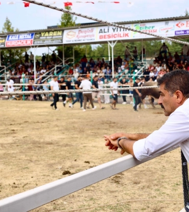 Yörük kültürünün önemli bir geleneği olan  2.Geleneksel Kaledavaz Boğa Güreşlerimiz Sona Erdi.
